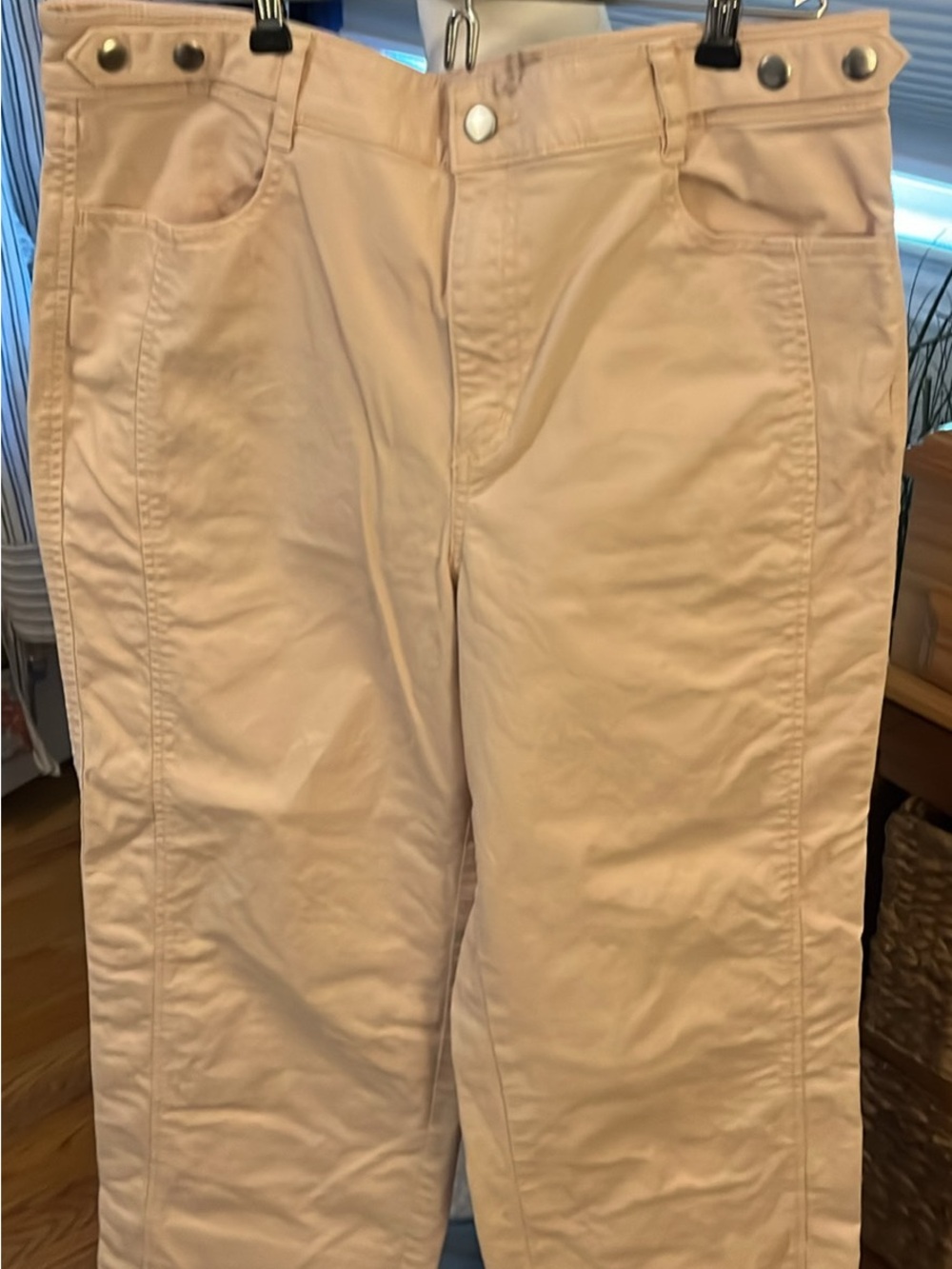 LOFT Wide Leg Pants in Light Beige